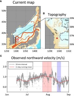 Quantification of the extremely intensified East Korea Warm Current in the summer of 2021: offshore and coastal variabilities